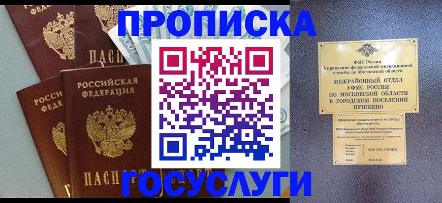 прописка гарантия в Вяземском